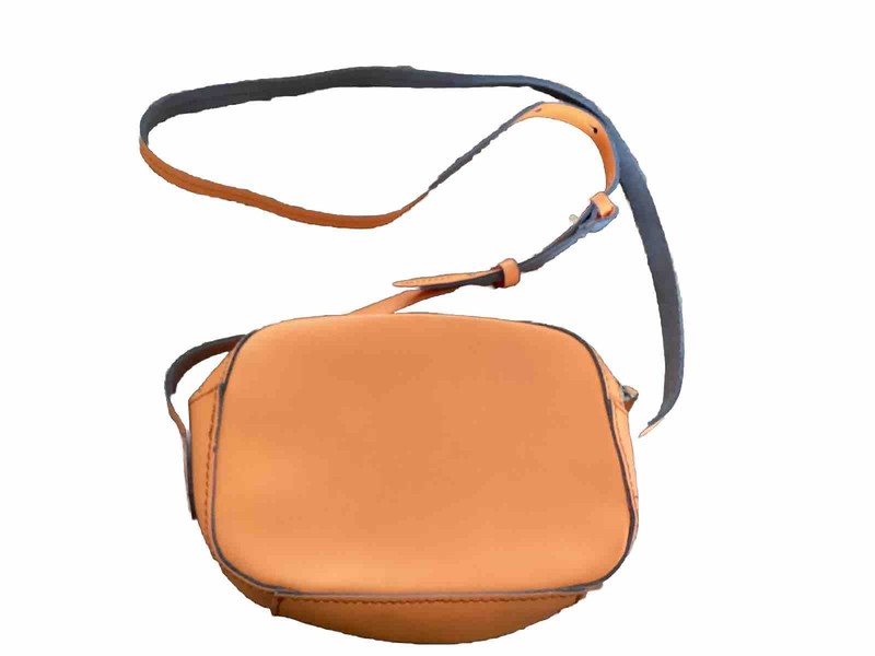 J Crew Orange Fluorescent Small Leather Crossbody Bag