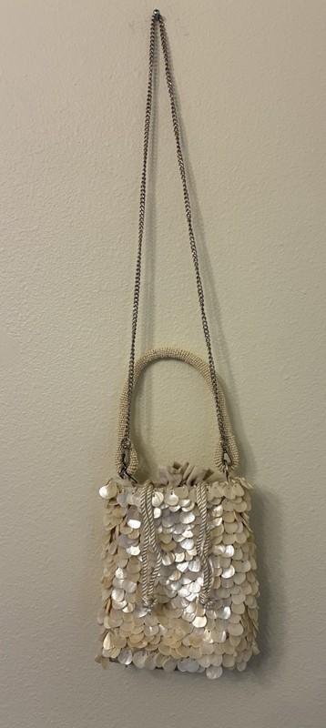 Zara Beaded Shell Ivory Drawstring Handbag Purse Bag W/Handle Or Chain New gallery