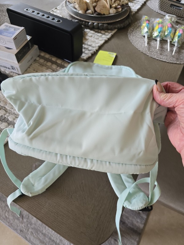 All in Motion Light green Backpack, Multiple Zip Compartments, Padded, Women’s M gallery