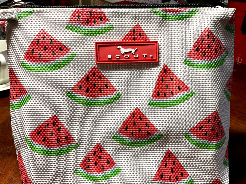 Scout Go Getter Pouch One in a Melon 10 x 7.75 x 3 inches WHITE RED GREEN NWT gallery