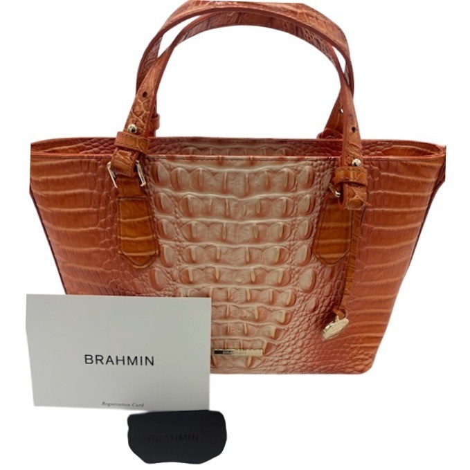 New Brahmin Misha Sherbert Ombre Melbourne Leather Satchel Bag Purse