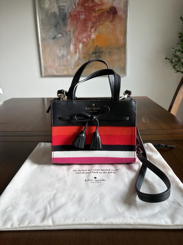 Kate Spade Multi Color Stripe Mini Tote/Crossbody + Dust Bag gallery