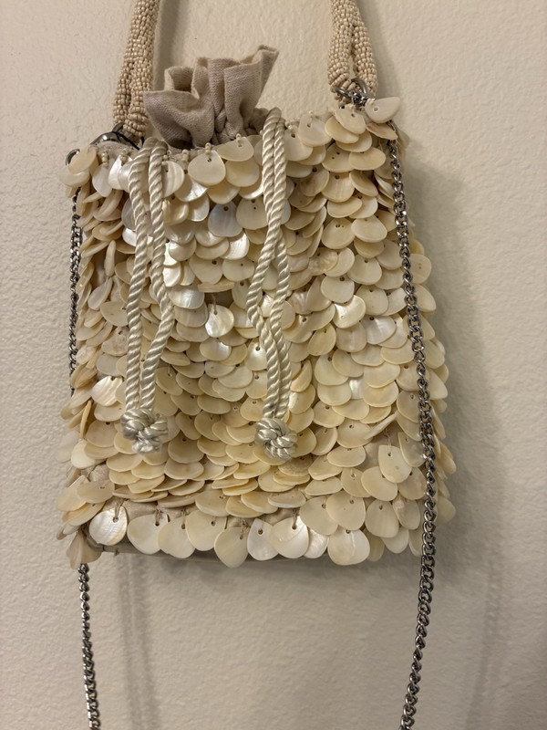 Zara Beaded Shell Ivory Drawstring Handbag Purse Bag W/Handle Or Chain New gallery