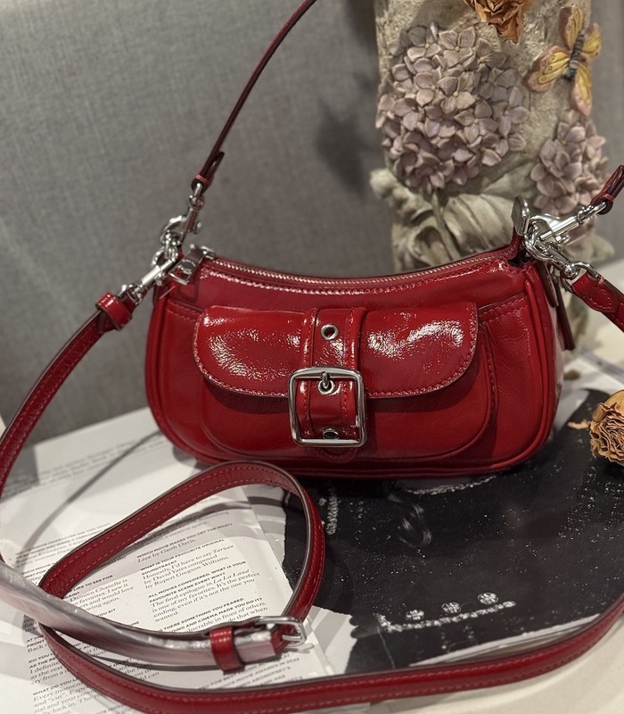 Coach CDB19 Ashton Mini Shoulder Bag NWT