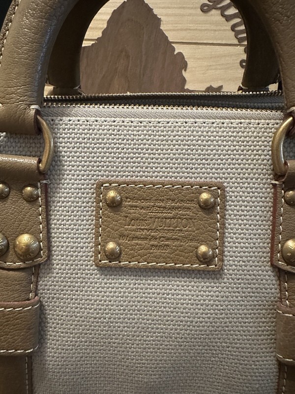 Louis Vuitton Toile Trianon Canvas Speedy Bag gallery