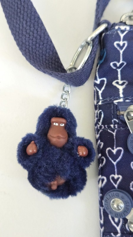 Kipling Haillie Crossbody Threaded Hearts Navy Gorilla Cloche Rainbow Zip gallery