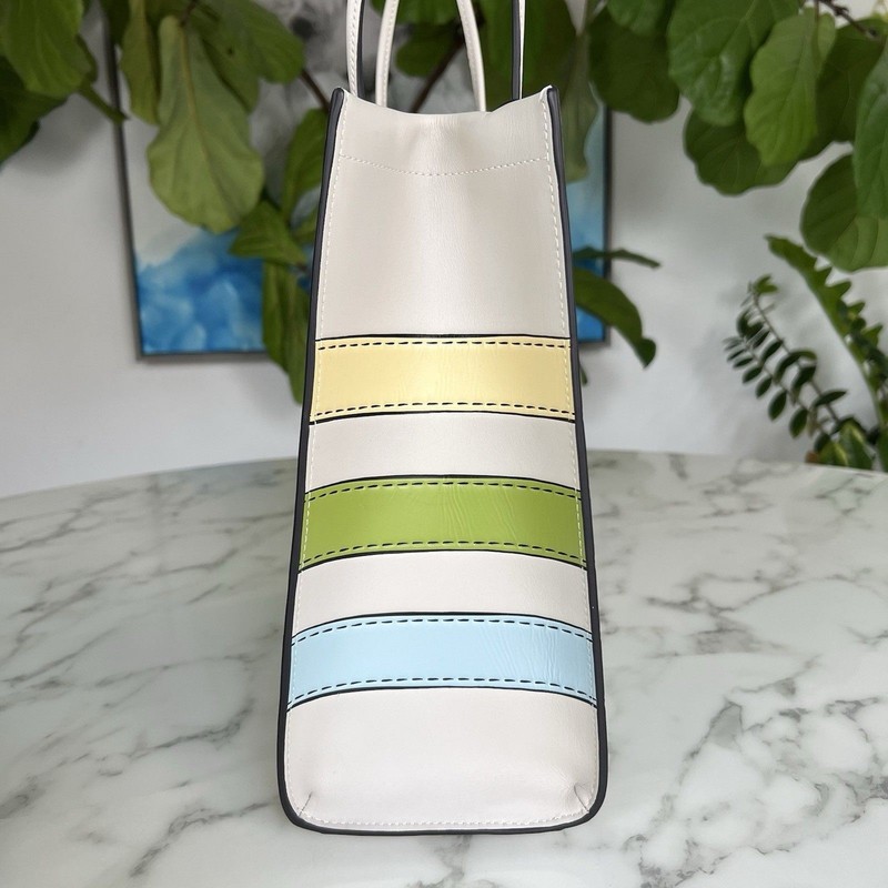 NWT Coach Cashin Carry 32 Trompe L’oeil C9724 Spring 2022 Runway Collection gallery