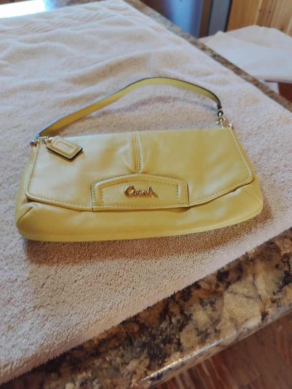 Coach Ashley Pleated Flap Wristlet Clutch Leather Mini Bag in Lemon Lime.9″By 5″