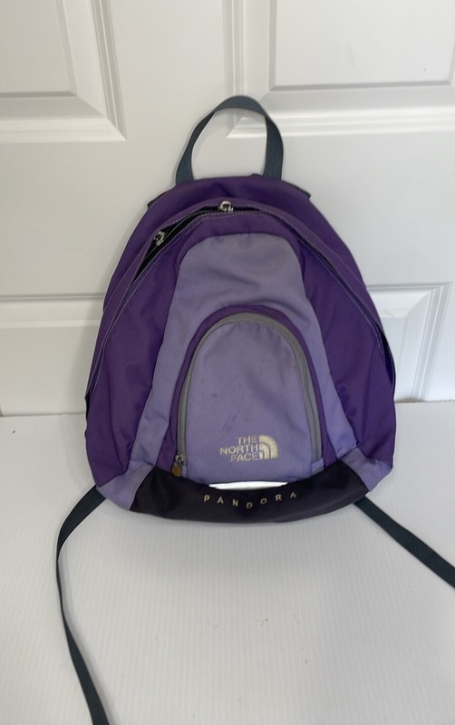 The North Face Purple Gray Pandora Backpack Daypack Mini