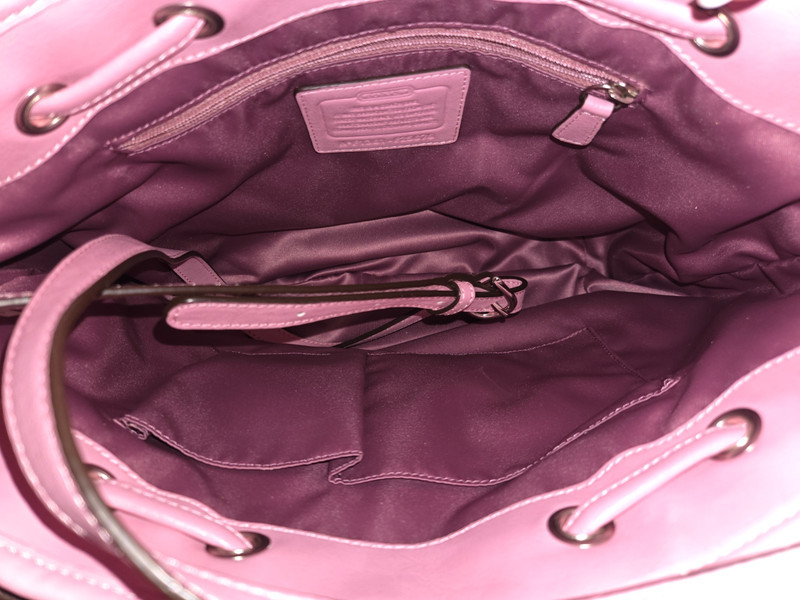 Coach F25676 Signature Logo Purse/Crossbody Bag Platinum & Pink NWT $298 RTL gallery
