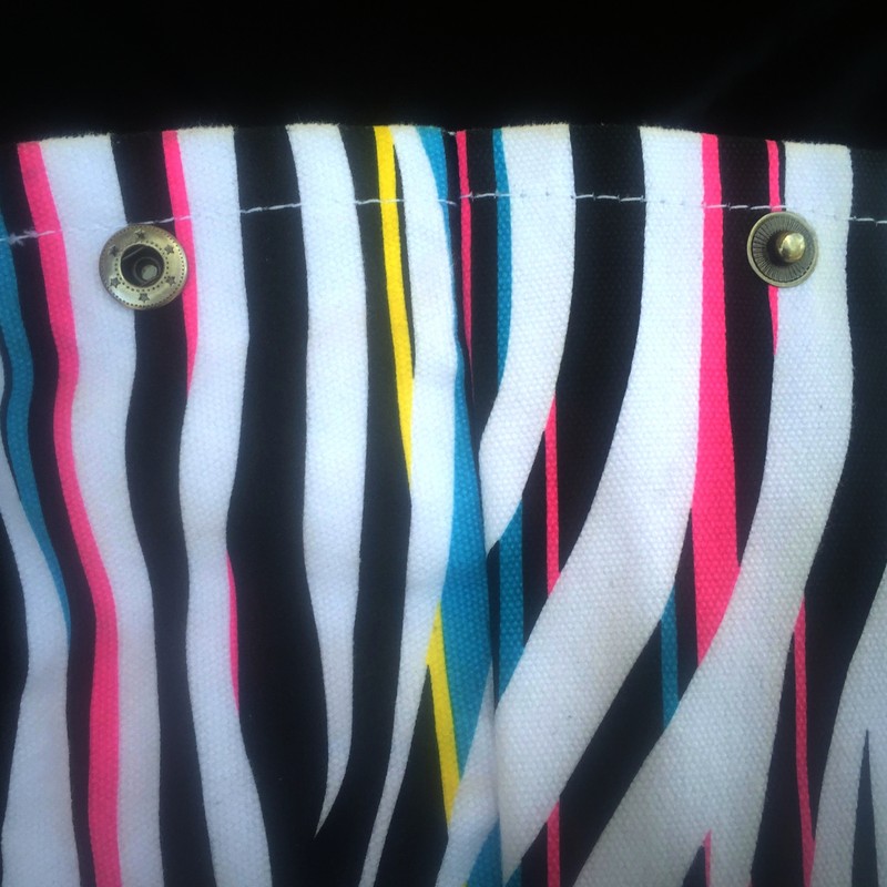 Pacsun Nollie Canvas Tote Beach Bag Shopper Multi Color Exotic Animal Stripe gallery