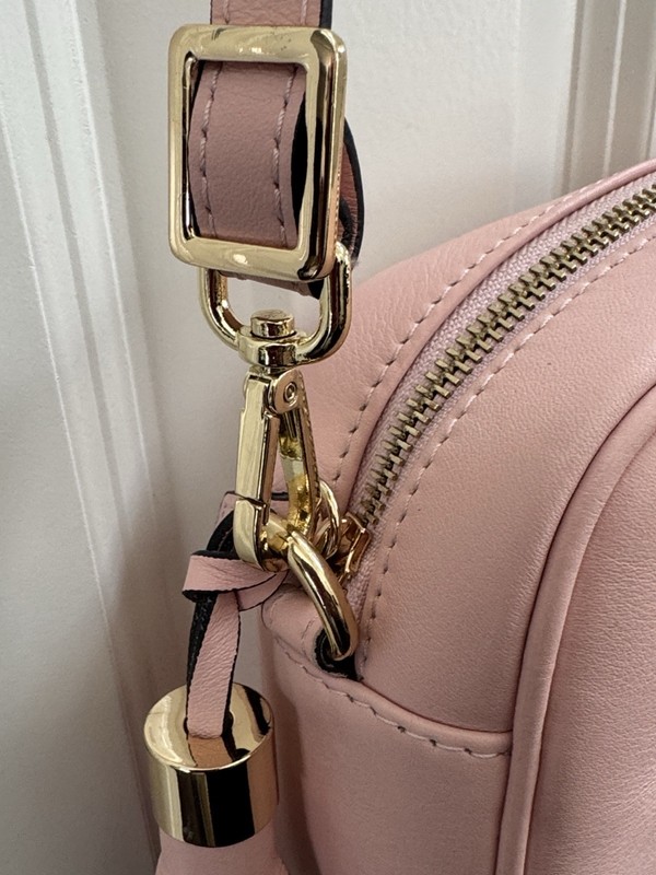 Valentino Pink Crossbody Bag Tassel Embossed Logo Zip Closure Gold Hardware gallery
