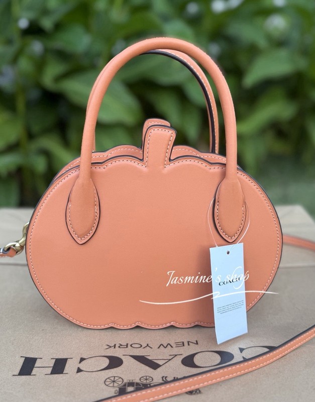 NWT Coach Pumpkin crossbody Bag CU868