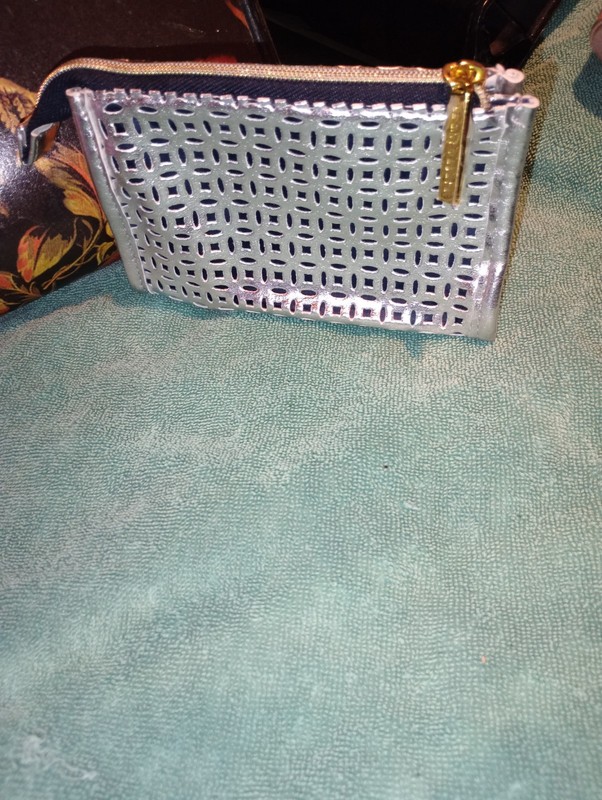 Estee Lauder NeverUsed Beautiful Silver Makeup Bag Gold ZipperHasFactory Plastic
