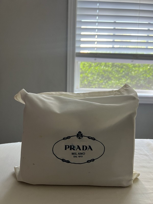 PRADA ReEdition 2005 Shoulder Bag-Rare Blue & Silver gallery
