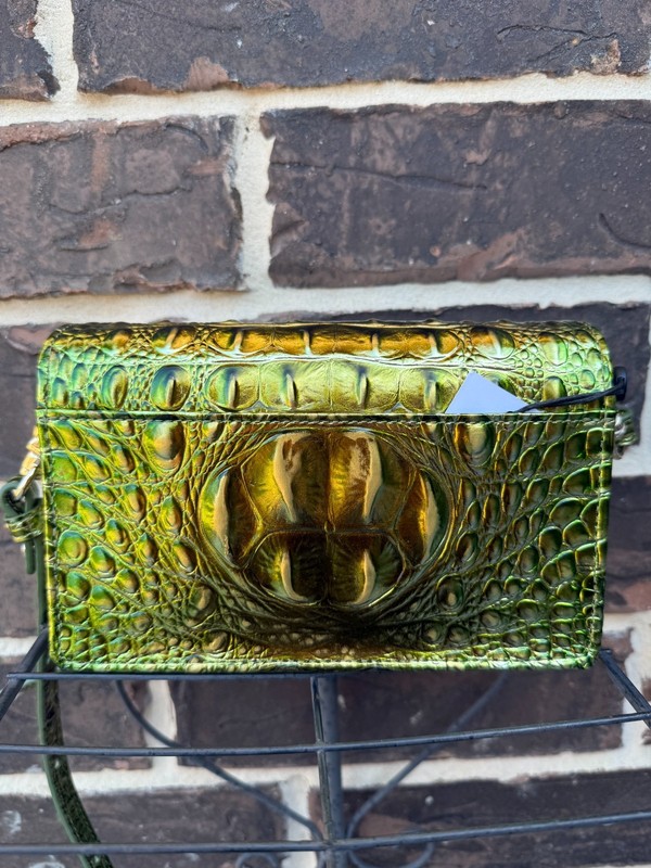 NWT$245 Brahmin Minuette Cacti Green Melbourne Lthr Crossbody Credit Card Wallet gallery