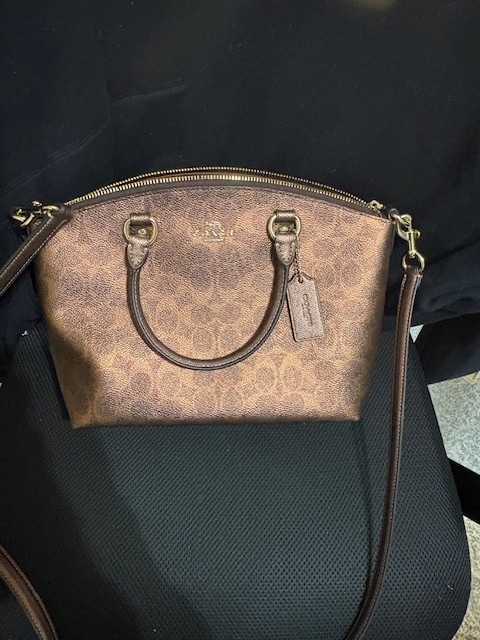 Coach Brown/Copper Sadie Metallic Signature Canvas Satchel Bag (CCM71) – NWT