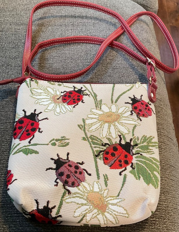 Sainty Embroidered Lady Bug Cross Body Purse 8″x8″ Purse Pre-Owned