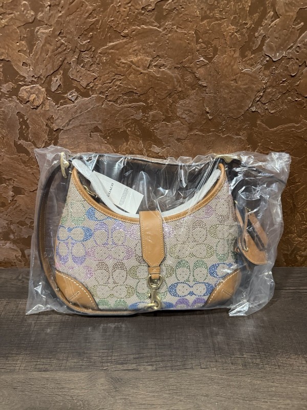 Coach Hamptons Hobo Bag In Crystal Signature Jacquard, Rainbow CCX16