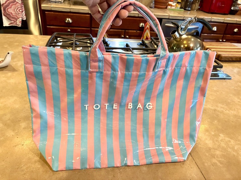 Pink & Blue Striped PVC Waterproof Tote Bag