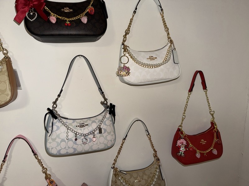 Coach Signature Logo Multicolor Shoulder Bag Chain Strap Charms Zip Hello Kitty