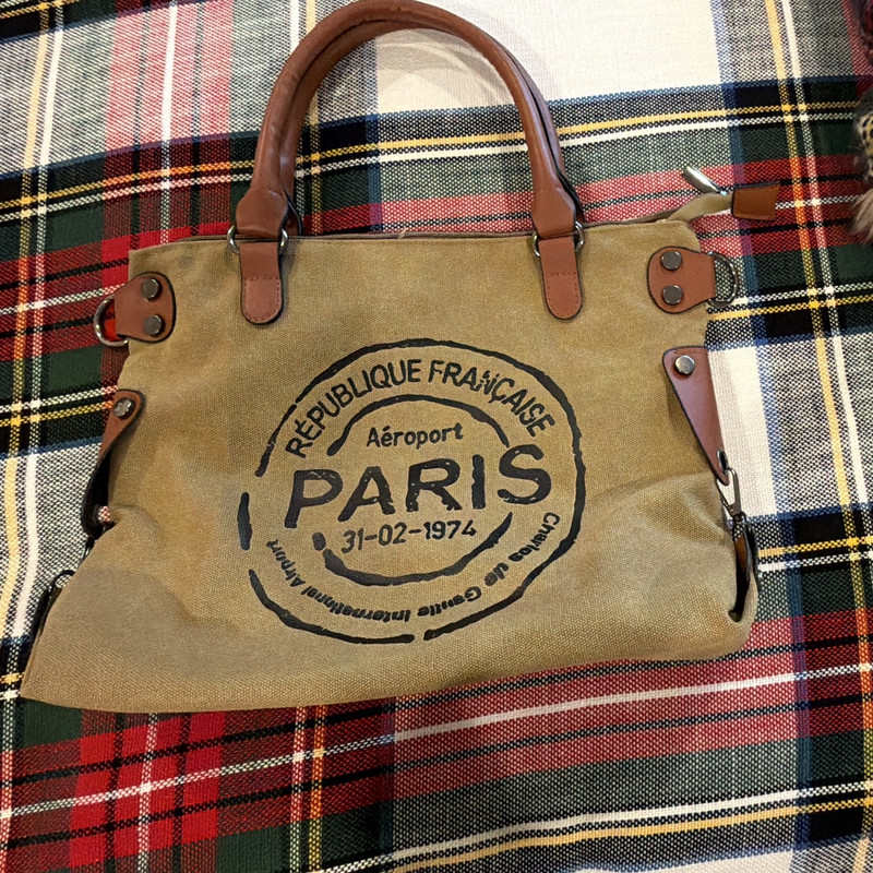 Paris Logo Print Large Women’s Satchel Top Handle, Zip, Detachable Strap