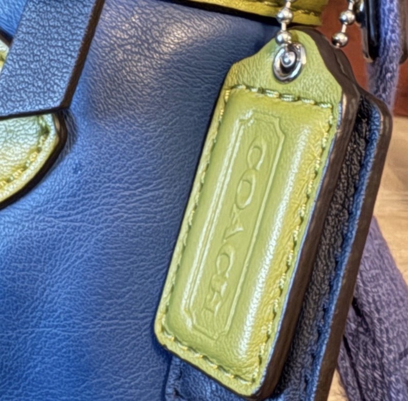 Coach Daisy Spectator Leather Swingpack Cross-body Bag gallery