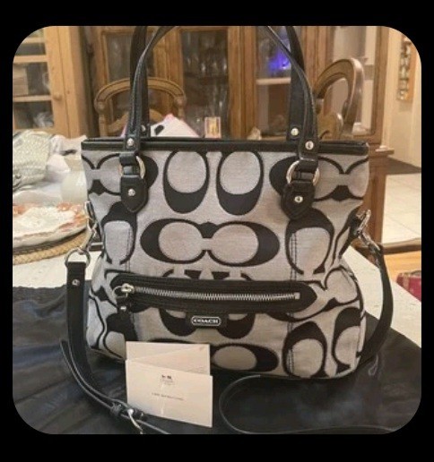 Coach Daisy Outline Signature Mia Crossbody F23940 in Silver/Black Purse Bag