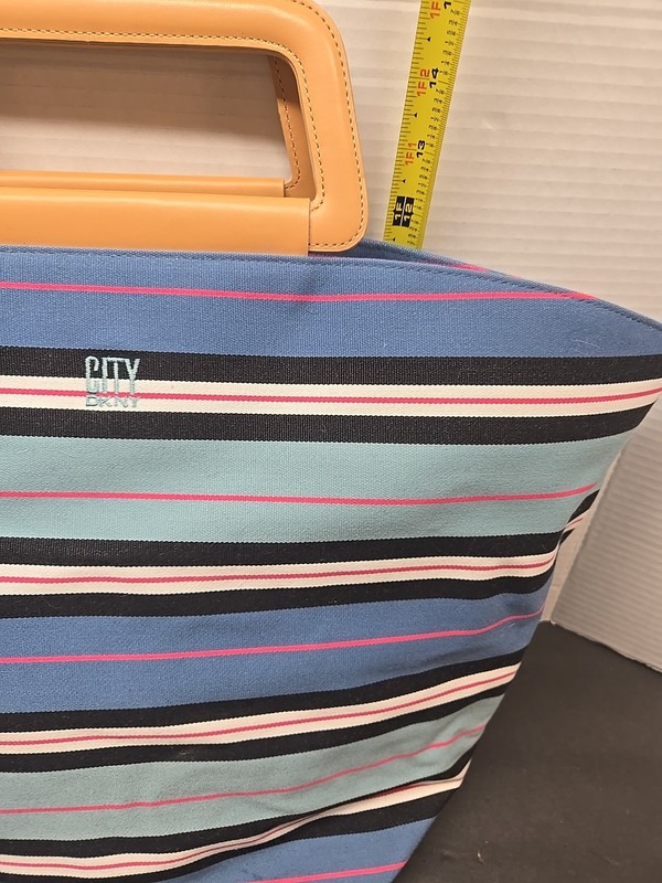 DKNY City Striped Canvas Tote Bag Multi Color Blue Black Tan Handles gallery